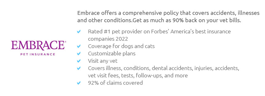 Lifetime Pet Insurance Cat Apr 2025 lifetime-pet-insurance-cat-apr-2025