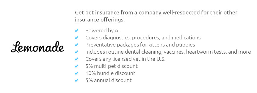 lifetime-pet-insurance-cat-feb-2025