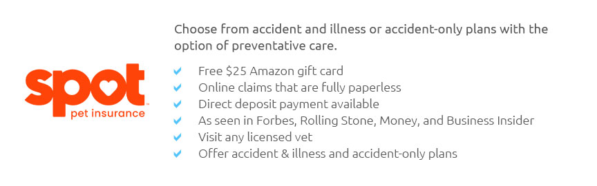 Lifetime Pet Insurance Cat Apr 2025 lifetime-pet-insurance-cat-apr-2025